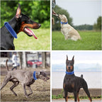Tactical Dog Collar with Heavy Duty Metal Buckle and Control Handle for Medium Large Dogs Training(Bright Blue, Medium)