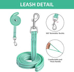 AMTOR Small Dog Harness with Leash Set, No Escape Easy Walk Puppy Harnesses for Training Walking, Step-in Reflective Soft Dogs Vest for XS S Medium Extra-Small Large Sized Dog(Green,XS)
