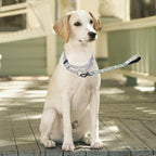 Martingale Dog Collar - Stainless Steel Chain, No Pull Training Collar with Flower Design for Large Medium Small Dogs (S, Green)