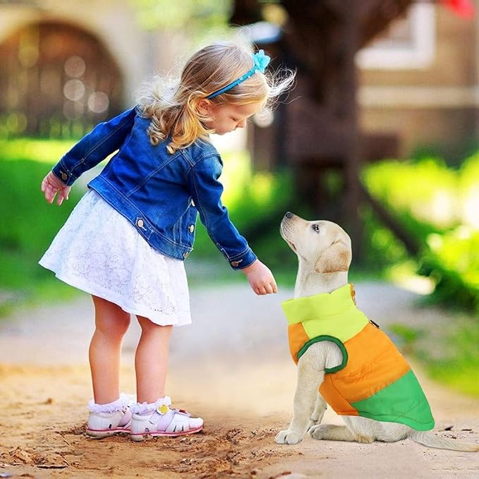 Idepet Pet Dog Cat Coat with Leash Anchor Color Patchwork Padded Puppy Vest Jacket Teddy Chihuahua Costumes Pug Cloth XS S M L(XX-Large,Green)