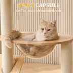 HITTITE Solid Wood Cat Tree Tower with Scratching Post, 37.8 Inches Tall Cat Towers with Scratching Board and Scratcher Ball, Modern Cat Tower With Space Capsule and Removable Top Bed for Indoor Cats.