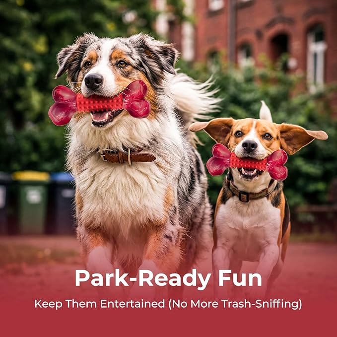 Apasiri 2-Pack Tough Dog Toys for Aggressive Chewers Large Breed, Dogs Chew Toys for Large Medium Dogs, Nylon and Rubber Dog-Bones for Teething Chew, Beef Flavor, for Doggo 20-80 lbs