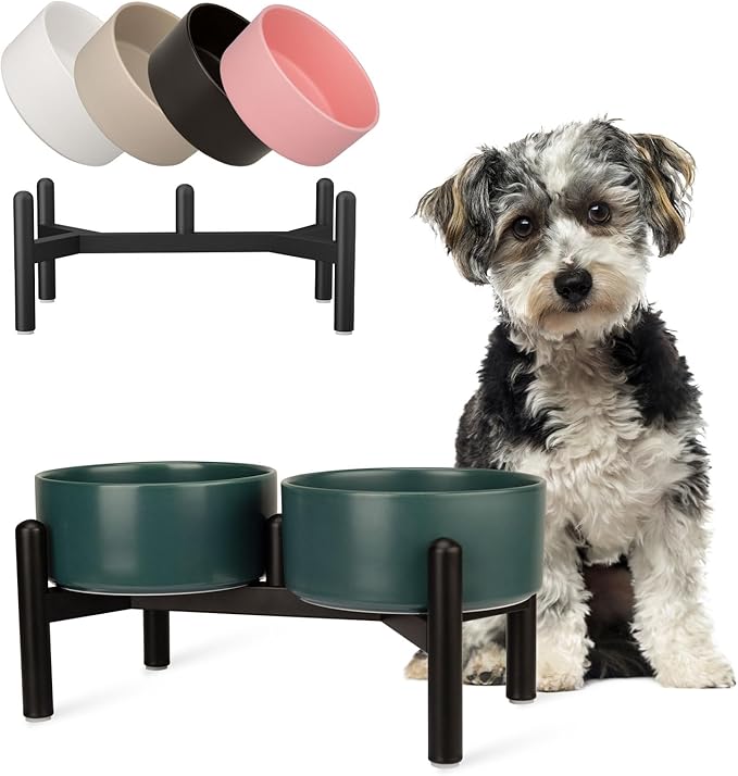 Raised Ceramic Dog Bowl Set - Elevated Double Dishes with Stainless Steel Stand - Food and Water Bowls for Small to Medium Dogs - Each Holds 2 Cups (28.75 fl oz) - Green