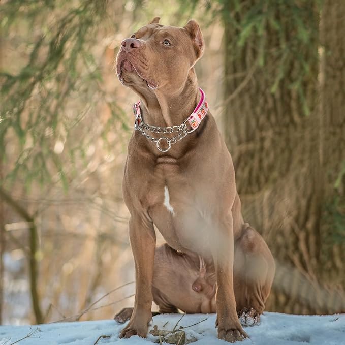 Cute Strawberry Pattern No-Pull Dog Collar, Reflective Martingale Training Collar with Adjustable Chain for Medium, Large & XL Breeds(Strawberry M)