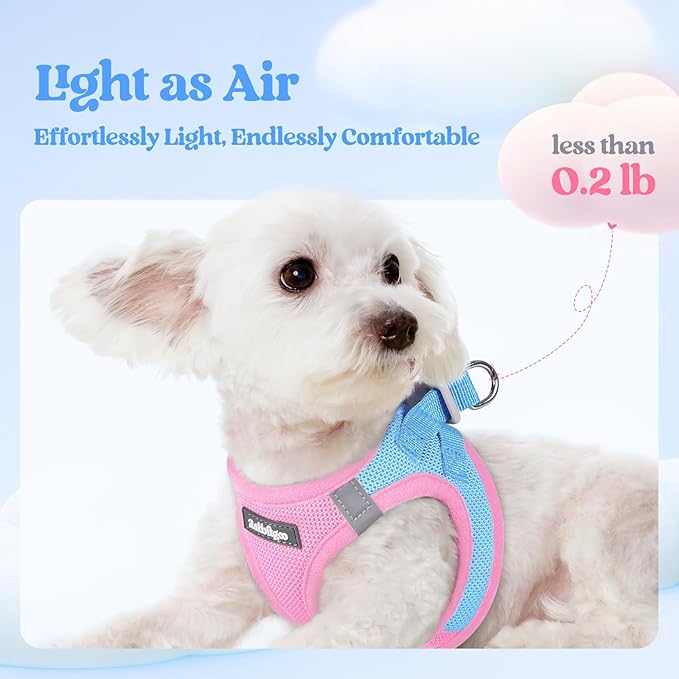 rabbitgoo Dog Harness Small Sized and Leash Set, Step in Soft Light Puppy Vest, Breathable Mesh Pet Harness, Reflective for Safe Easy Walking, Blue & Light Pink XXXS