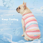 cyeollo 2pack Dog Cooling Shirt, Breathable Sleeveless Summer Clothes for Dogs, Intant Cool T Shirts for Small Dogs, Pink S