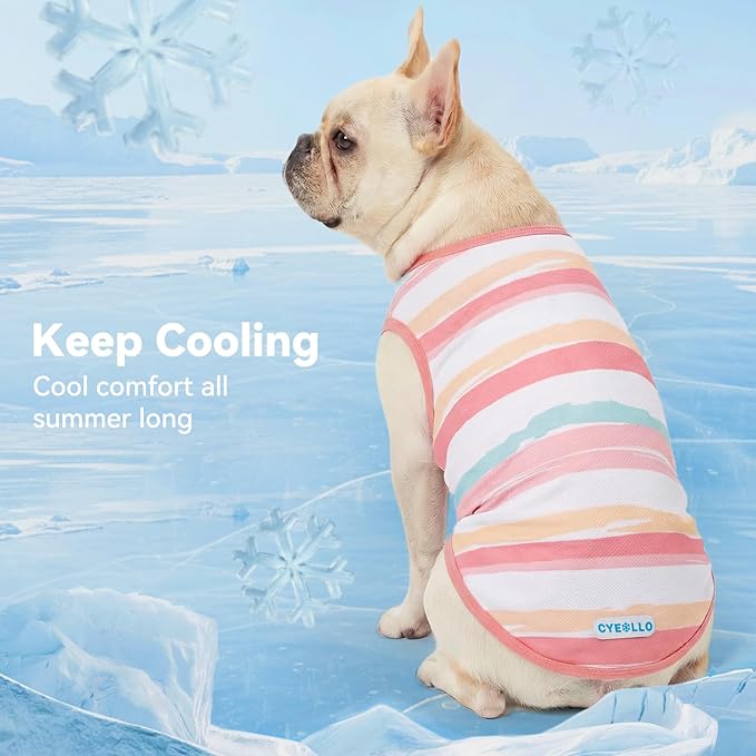 cyeollo 2pack Dog Cooling Shirt, Breathable Sleeveless Summer Clothes for Dogs, Intant Cool T Shirts for Small Dogs, Pink XL