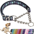 Martingale Dog Collar with Chain,Heavy-Duty Training Collar with No Buckle -No-Pull Dog Collar with Skull Pattern for Medium Large Extra Large and XXL Dogs (Skull XXL)