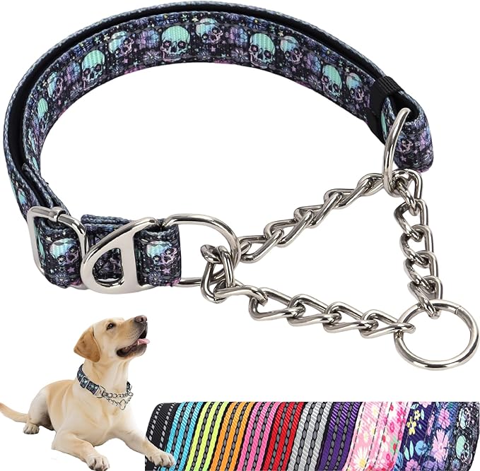 Martingale Dog Collar with Chain,Heavy-Duty Training Collar with No Buckle -No-Pull Dog Collar with Skull Pattern for Medium Large Extra Large and XXL Dogs (Skull M)