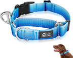 Martingale Collar for Dogs Large Medium Small Heavy Duty Buckle Dog Collar with Tag Ring Reflective Nylon Gradient Dog Collar No Pull Training Collar