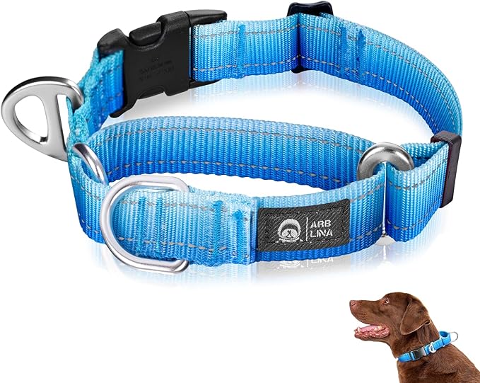 Martingale Collar for Dogs Large Medium Small Heavy Duty Buckle Dog Collar with Tag Ring Reflective Nylon Gradient Dog Collar No Pull Training Collar