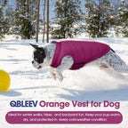 QBLEEV Reversible Dog Coat for Small Dogs, Waterproof Windproof Winter Jacket Keeps Small Breeds Warm & Dry, Lightweight Adjustable Puffer Vest with Leash Hole, Purple, XS – Fits Chihuahua, Yorkie