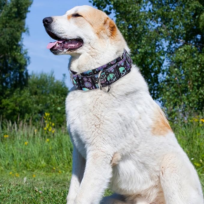 Martingale Dog Collar 1.5 Inch Wide - Heavy Duty Skull Design for Large Dogs, Adjustable Training Collar for Walking, Hunting, and Outdoor Activities - Perfect for Boys and Girls (M)