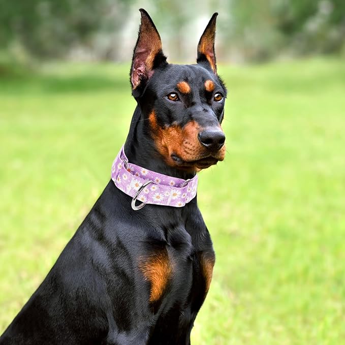 1.5 Inch Martingale Dog Collar - No Pull Daisy Design Nylon Training Collar for Medium, Large & XL Dogs | Heavy Duty Adjustable Choke-Free Collar for Large Breed Pets (Purple Daisy L