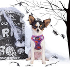 SCENEREAL Halloween Small Dog Harness Collar and Leash Set, Adjustable No Pull Pet Harnesses, No Chock Soft Mesh Vest Costume for Doggie Puppy Dogs Cats Girl Boy Outdoor Walking