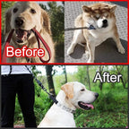 CBBPET Dog Prong Collar, Adjustable Dog Training Collar with Quick Release Buckle for Small Medium Large Dogs (Silver, M/3.0mNeck: 16"-18'' Weight:50 lbs)