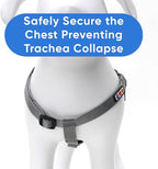 Pawtitas Solid Step-in Dog Harness – Adjustable No-Pull Vest for Puppies to Seniors, Safe & Comfortable M Grey