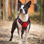 rabbitgoo Dog Harness Small Sized, No Pull Dog Vest with 3 Buckles, Adjustable Soft Padded Pet Harness with Easy Control Handle and Reflective Strips, Red, S