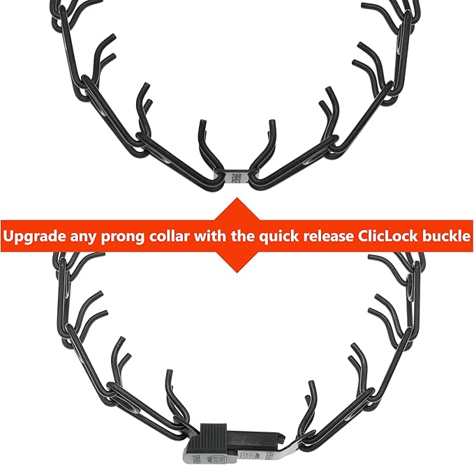 Sprenger Herm Black Stainless Steel ClicLock Buckle Quick Release Fastener for Dog Training Prong Collar for Small Medium Large Dogs Made in Germany (3.0/3.2mm, Black Jacket)