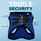 Best Pet Supplies Voyager Step-in Air All Weather Mesh Harness and Reflective Dog 5 ft Leash Combo with Neoprene Handle, for Small, Medium and Large Breed Puppies - Royal Blue/Black Trim, X-Large