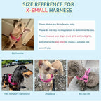 SlowTon No Pull Small Dog Harness and Leash Set, Puppy Soft Vest Harness Neck & Chest Adjustable, Reflective Lightweight Harness & Anti-Twist Pet Lead Combo for Small Medium Dogs (Fuchsia, XS)
