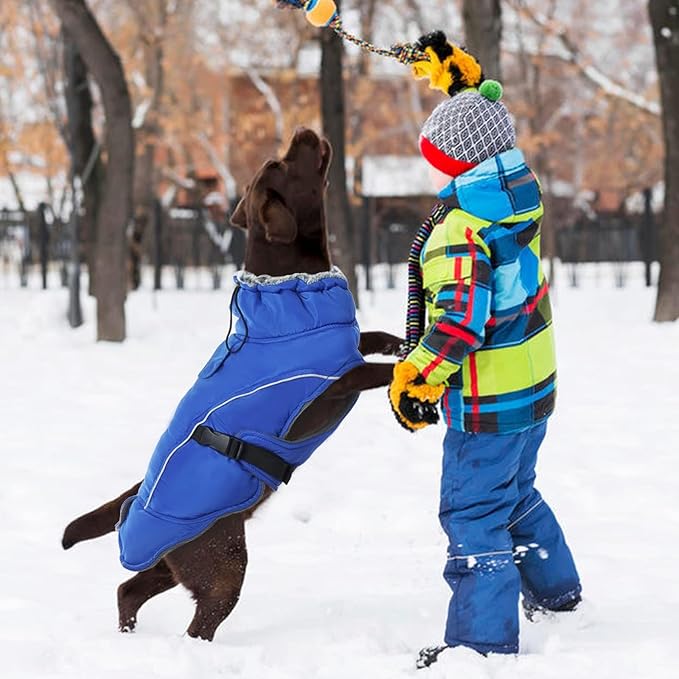 DENTRUN Winter Warm Dog Coat Reflective Jacket with Turtleneck for Cold Weather, Adjustable Buckle Windproof Water Repellent, Thick Snowsuit Fleece Vest for Small, Medium, Large Dogs, Blue, L