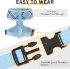 SCENEREAL Puppy Dog Harness with Leash Set for Small Medium Sized Dogs, Soft Mesh Pet Harnesses and Leash, No Chock Plaid Adjustable No Pull Vest for Dogs Cats, Chihuahua,Bulldog (Blue M)