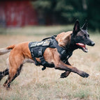 OneTigris No Pull Tactical Dog Harness for Medium Dog, Aire Mesh Dog Vest Harness, Breathable Military Dogs Molle Vests with Handles, Service Dogs Vest for Walking Hiking Training (M, Black)