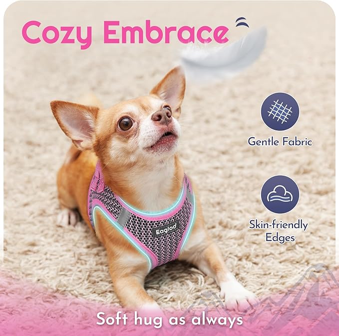 Eagloo Small Dog Harness and Leash Set, Step in Puppy Vest with Breathable Soft Mesh, Walking Reflective Pet Harness for Small Dogs, Pink, XS