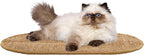 SAFAVIEH Cat Scratch Mat Pad Collection, 12" x 20" Oval, Brown, Sisal & Jute Boucle Weave, Velcro & Slip Resistant Backing