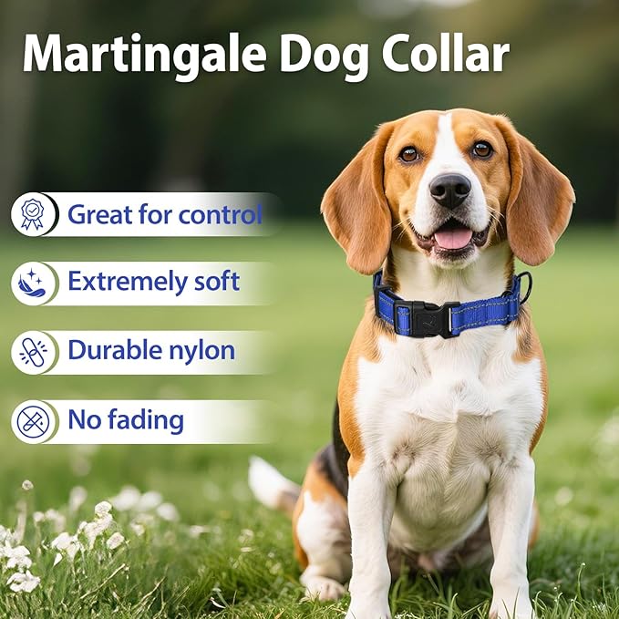 Martingale Collar for Dogs with Quick Release Buckle, Reflective Soft Padded & Escape Proof, Adjustable Nylon Dog Collars for Training & Daily Walking (Royal Blue,XS)