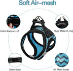 YIMEIS Dog Harness (XS, Blue) for Small Dogs, Lightweight Harness & Leash Set, Adjustable, Reflective, Breathable, 360°Visibility, Playful Style