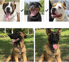 Dog Choke Collar Slip P Chain,Heavy Chain Dog Metal Training Choke Collars, Martingale Puppy Collars for XS Small Medium Large Big XL Breed Dogs (Silver, M(Neck Max 18inch) D3.0mm)