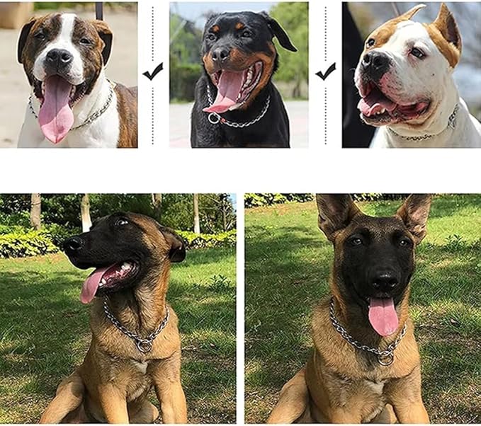 Chain Choke Collar for Dogs, Metal Slip Link Training Heavy Duty Dog Collar Martingale Puppy Collars for XXS XS Small Medium Large Big XL Breed Dogs (Silver, XS)