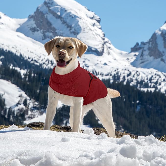 Queenmore Medium Dog Sweater, Soft Fleece Vest Pullover Dog Jacket with Leash Hole, Warm Winter Dogs Clothes Cold Weather Doggy Dachshund Sweaters for Medium Dogs Cats Boy or Girl (Burgundy,M)