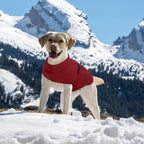 Queenmore Medium Dog Sweater, Soft Fleece Vest Pullover Dog Jacket with Leash Hole, Warm Winter Dogs Clothes Cold Weather Doggy Dachshund Sweaters for Medium Dogs Cats Boy or Girl (Burgundy,M)