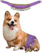 Dog Belly Dancer Costume - Puppy Outfit with Sequin Waist Chain & Hip-Shaking Skirt - Ideal for Corgi and Puppy Birthday Parties or Halloween Celebrations(Small,Purple)