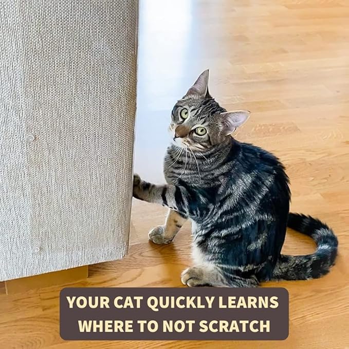 Leo’s Paw Furniture Scratch Protector Couch Cat Scratch Deterrent Guards Anti-Scratch Repellent Mat for Couch Sofa Scratch Training Adhesive Transparent & Discreet 18x12 inch Plastic Shields (8-Pack)