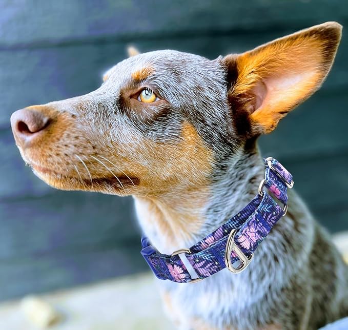Martingale Collar for Dogs - No Slip Choke Heavy Duty Collar with Reflective Nylon, Quick Release Buckle & Bohemian Floral Pattern for Training, Walking & Overexcited Dogs M