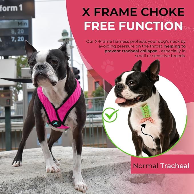Gooby Comfort X Head In Harness - Flamingo Pink X-Large - No Pull Small Dog Harness Patented Choke-Free X Frame - On the Go Dog Harness for Medium Dogs No Pull or Small Dogs for Indoor and Outdoor Use