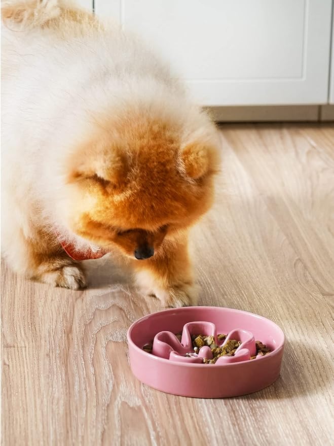 LE TAUCI Ceramic Slow Feeder Dog Bowls Small Breed, 0.6 Cups Dog Food Dish for Fast Eaters, Puzzle Bowl for Small Dogs and Cats,Pink Bloom