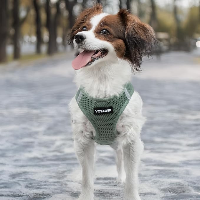 Best Pet Supplies - All Weather Mesh/Plush, Reflective, No Pull Harness for Small, Medium Dogs, Cats - Secure with Hook & Loop Fastener, Buckle, Double D-Rings - Moss Green, L