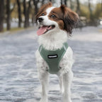 Best Pet Supplies Voyager Step-in Air Harness - All Weather Mesh, Reflective, No Pull Harness for Dogs, Cats - Secure with Hook & Loop Fastener, Buckle, Double D-Rings - Moss Green, XXS