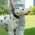 JSXD Tactical Dog Collar, 1.5 Inch Wide, Heavy Duty Military Training Collar with Handle, Metal Quick Release Buckle, 1000D Nylon, for Medium Large Dogs