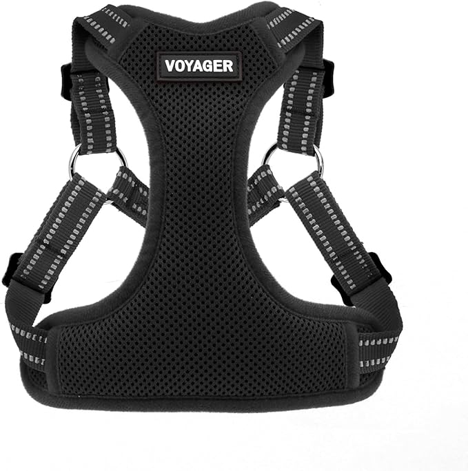 Best Pet Supplies Voyager Adjustable Step-in Flex Breathable Mesh Dog Harness for Small Medium Large Dogs (Black), M