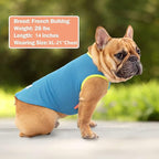 KYEESE 2Pack Dog Cooling Shirt, Breathable Dog Shirt for Small Dogs, Sun Protection Dogs Cooling Vest Tank Top, Lightweight Soft Sleeveless Summer Pet Clothes, Boat+Ice Cream, L