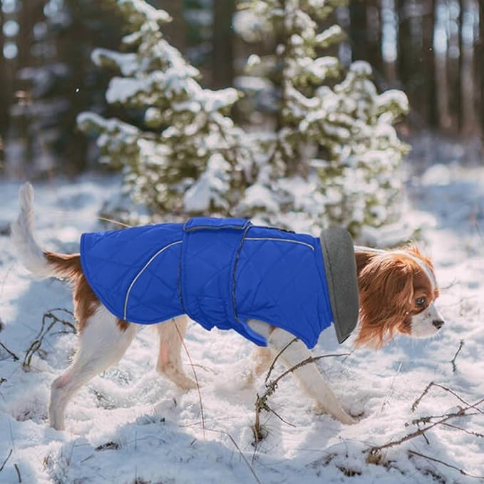 Kuoser Dog Coat Thermal Fleece Lined Dog Jacket, Adjustable Hook & Loop Dogs Coats for Medium Dogs Windproof Reflective Puppy Snow Jackets Pet Cold Weather Clothes with Harness Hole, Blue, M