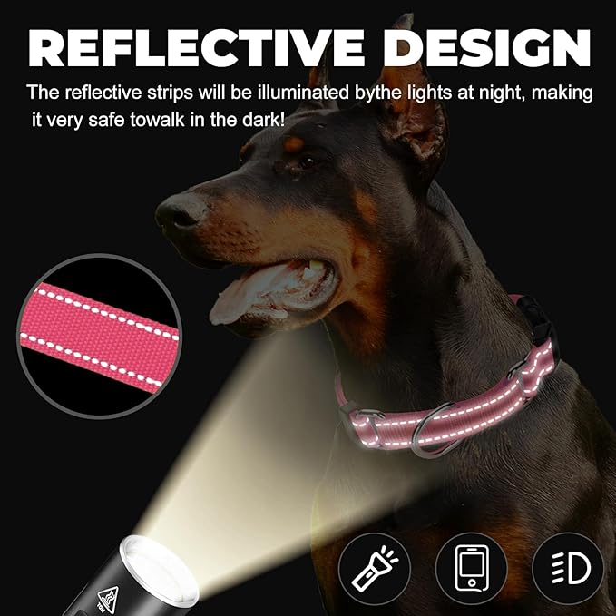 Martingale Collar for Dogs,Reflective Martingale Dog Collars with Quick Release Buckle,Adjustable Nylon No Pull Dog Collar for Dogs Walking Training (Orange, Large)