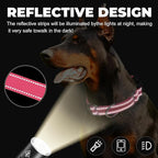Martingale Collar for Dogs,Reflective Martingale Dog Collars with Quick Release Buckle,Adjustable Nylon No Pull Dog Collar for Dogs Walking Training (Orange, Large)