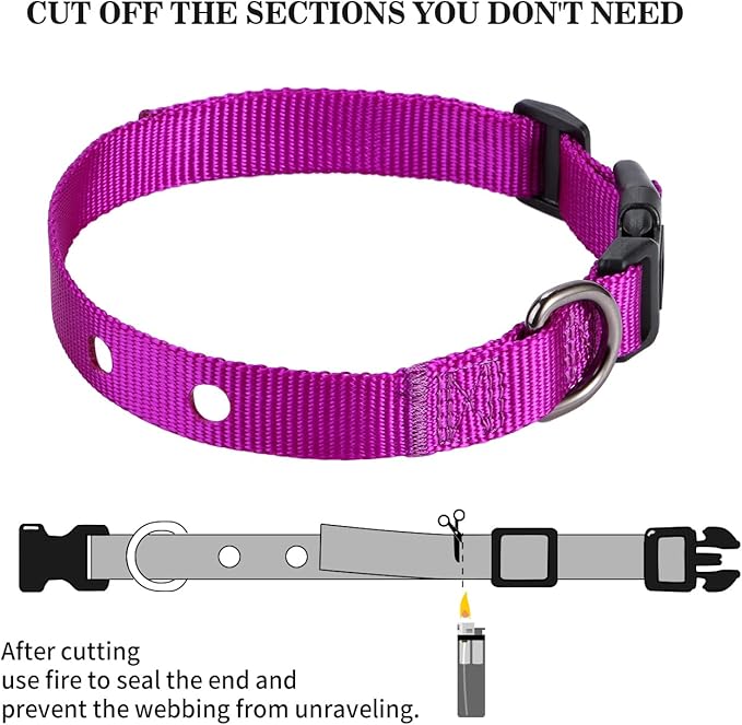 3/4 Inch Dog Shock Collar Replacement Strap with 2 Holes - Compatible with Most Brands of Ecollar Dog Fences and Training Collars, Purple